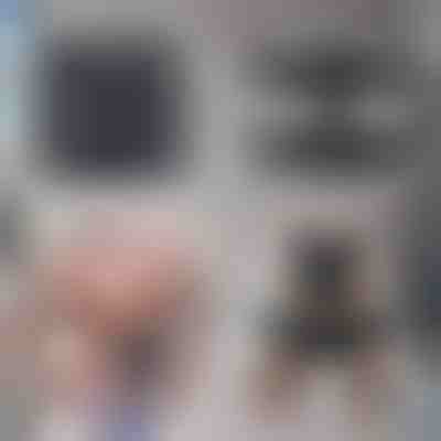 Tréner na šesť balení – Spaľujte tuk bez námahy | SIXPACK