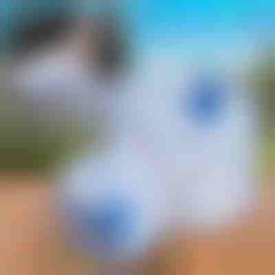 Skladacia nádrž na vodu (10 l) | AQUATANK