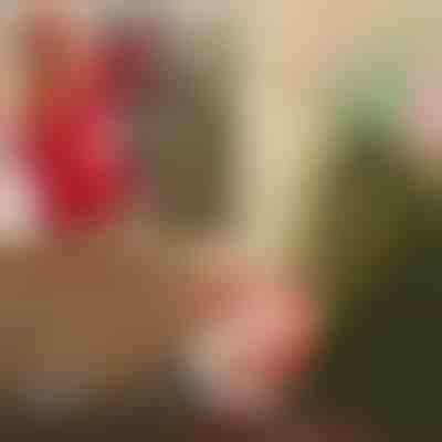 Santa s padákom | SANTASWING