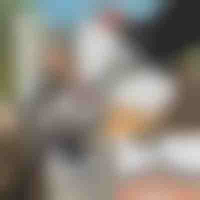 Špeciálny nástroj na brúsenie pílových reťazí + brúska GRINNEX