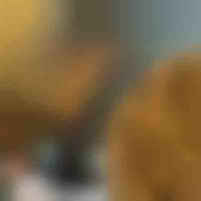 Svietiace vetvičky | BRANCHLUMOS