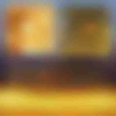 Slávnostná LED svetelná sieť | LUMONET