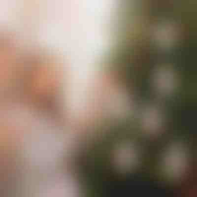 Vianočné ozdoby na peniaze (4 ks) | WEALTHMAS