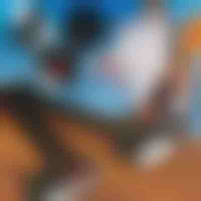 Nastaviteľný ramenný popruh na prepravu lyží | SKITREK