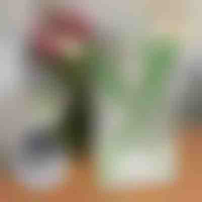 Elegantná váza na kvety v tvare knihy | FLOWERFRAME