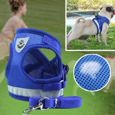 Nastaviteľný reflexný postroj a vodítko pre domáce zvieratá | LEASHNGO