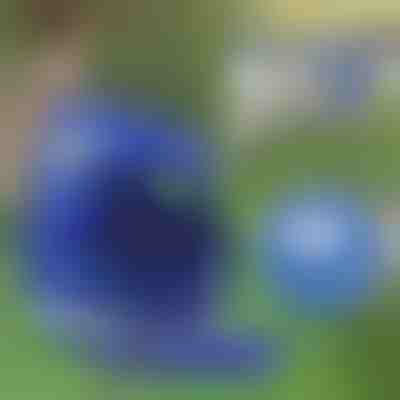 Nastaviteľný reflexný postroj a vodítko pre domáce zvieratá | LEASHNGO