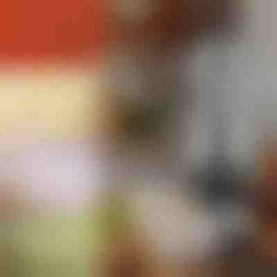 Ručný sekáčik na zeleninu | CHOPSTER