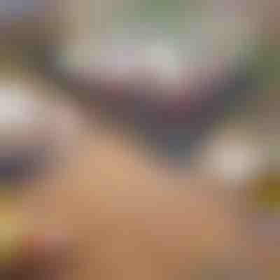 Skladací prenosný gril | GRILLOMATE