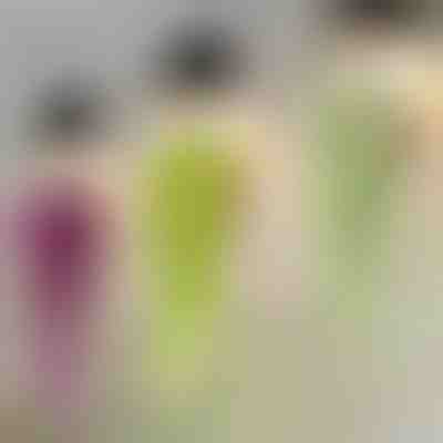 Dekoratívne závesné rastliny | IVYORA