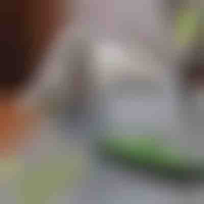 Mop na odstraňovanie chlpov domácich zvierat | PAWMOP