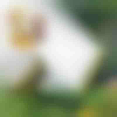 Profesionálny vodný postrekovač | SPRAYMASTER