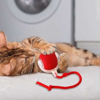 Hračka pre domáce zvieratá, ktorá sa pohybuje na dotyk | GATOPLAY